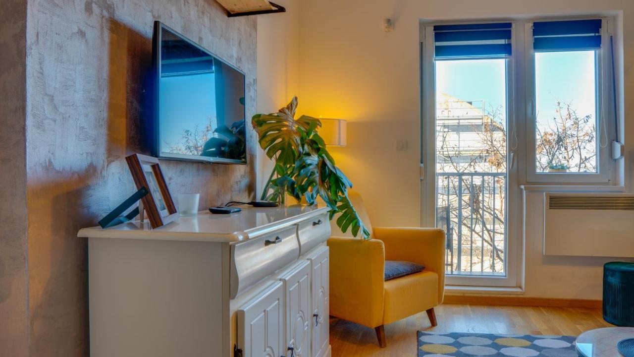 SPA apartment YANG - jakkuzi, sauna, spa Novi Sad Bagian luar foto